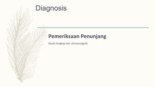 Diagnosis
Pemeriksaan Penunjang
Darah lengkap dan ultrasonografi
 