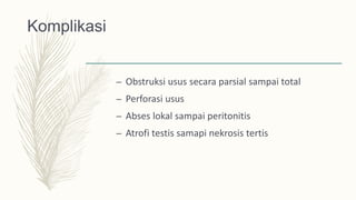 Komplikasi
– Obstruksi usus secara parsial sampai total
– Perforasi usus
– Abses lokal sampai peritonitis
– Atrofi testis samapi nekrosis tertis
 