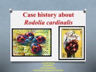 Case history about
Rodolia cardinalis
V.GOWTHAM
2016600504
Agrl. Entomology
Tamil Nadu Agricultural University
 