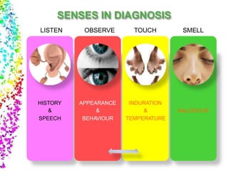 HISTORY
&
SPEECH
APPEARANCE
&
BEHAVIOUR
INDURATION
&
TEMPERATURE
MALODOUR
LISTEN OBSERVE TOUCH SMELL
 