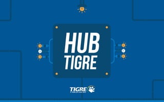 Hub Tigre
