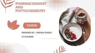 casiny 1
