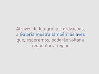 Através de fotografia e gravações,
a Galeria mostra também as aves
que, esperamos, poderão voltar a
       frequentar a região.
 