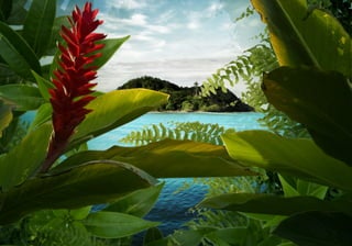 TheGetz - Case Volvo Mastercup