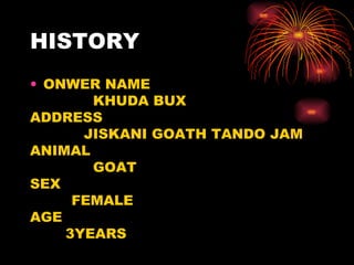 HISTORY ONWER NAME KHUDA BUX ADDRESS JISKANI GOATH TANDO JAM ANIMAL GOAT SEX FEMALE AGE 3YEARS