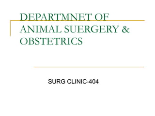 DEPARTMNET OF ANIMAL SUERGERY & OBSTETRICS SURG CLINIC-404 