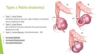Case Of Acute Intestinal Obstruction (1).pptx