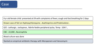 9 yr old female child presented at ER with complaints of fever, cough and fast breathing for 2 days
Known case of SLE on Hydroxychloroquine , Azathioprine and Prednisolone .
O/E : Lethargic , tachypnea , febrile feeble peripheral pulse, Temp : 104 F ,
CBC : 22,000 , Neutrophilia
Blood culture was done
Started on empirical antibiotic therapy with Meropenem and Vancomycin
Case
 