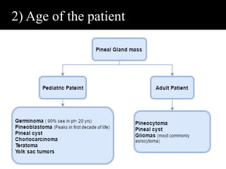 2) Age of the patient
12
 