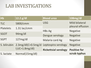 LAB INVESTIGATIONS 
Hb 12.2 g/dl 
TLC 5800/cmm 
Platelets 1.31 lac/cmm 
SGOT 94mg/dl 
SGPT 127mg/dl 
S. bilirubin 2.3mg/dl(C=0.5mg/d 
l;UC=1.8mg/dl) 
S. lactate Normal(15mg/dl) 
Blood urea 108mg/dl 
USG Mild bilateral 
pleural effusion 
HBs Ag Negative 
Dengue serology Negative 
Malaria card Ag Negative 
Leptospira serology Negative 
Rickettsial serology Positive for 
scrub typhus 
 