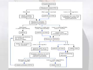 Pth Algorithm Case presentation of primary hyperparathyroidism | PPTX