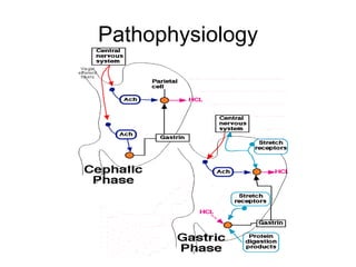 Pathophysiology 