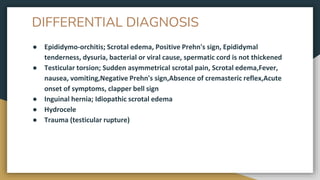 DIFFERENTIAL DIAGNOSIS
● Epididymo-orchitis; Scrotal edema, Positive Prehn's sign, Epididymal
tenderness, dysuria, bacterial or viral cause, spermatic cord is not thickened
● Testicular torsion; Sudden asymmetrical scrotal pain, Scrotal edema,Fever,
nausea, vomiting,Negative Prehn's sign,Absence of cremasteric reflex,Acute
onset of symptoms, clapper bell sign
● Inguinal hernia; Idiopathic scrotal edema
● Hydrocele
● Trauma (testicular rupture)
 