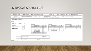 4/10/2023 SPUTUM C/S
 