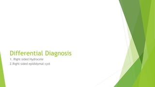 Differential Diagnosis
1. Right sided Hydrocele
2.Right sided epididymal cyst
 