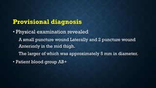 Provisional diagnosis
• Physical examination revealed
A small puncture wound Laterally and 2 puncture wound
Anteriorly in the mid thigh.
The larger of which was approximately 5 mm in diameter.
• Patient blood group AB+
 