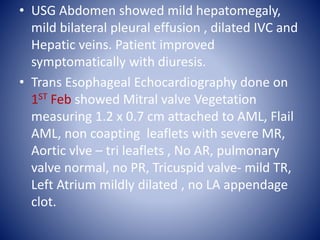 • USG Abdomen showed mild hepatomegaly,
mild bilateral pleural effusion , dilated IVC and
Hepatic veins. Patient improved
symptomatically with diuresis.
• Trans Esophageal Echocardiography done on
1ST Feb showed Mitral valve Vegetation
measuring 1.2 x 0.7 cm attached to AML, Flail
AML, non coapting leaflets with severe MR,
Aortic vlve – tri leaflets , No AR, pulmonary
valve normal, no PR, Tricuspid valve- mild TR,
Left Atrium mildly dilated , no LA appendage
clot.
 