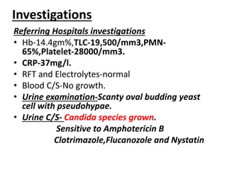 Investigations
Referring Hospitals investigations
• Hb-14.4gm%,TLC-19,500/mm3,PMN-
65%,Platelet-28000/mm3.
• CRP-37mg/l.
• RFT and Electrolytes-normal
• Blood C/S-No growth.
• Urine examination-Scanty oval budding yeast
cell with pseudohypae.
• Urine C/S- Candida species grown.
Sensitive to Amphotericin B
Clotrimazole,Flucanozole and Nystatin
 