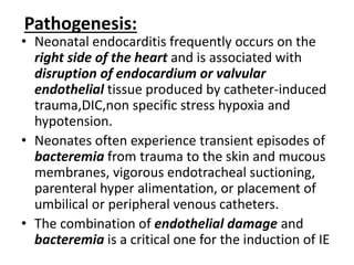 Pathogenesis:
• Neonatal endocarditis frequently occurs on the
right side of the heart and is associated with
disruption of endocardium or valvular
endothelial tissue produced by catheter-induced
trauma,DIC,non specific stress hypoxia and
hypotension.
• Neonates often experience transient episodes of
bacteremia from trauma to the skin and mucous
membranes, vigorous endotracheal suctioning,
parenteral hyper alimentation, or placement of
umbilical or peripheral venous catheters.
• The combination of endothelial damage and
bacteremia is a critical one for the induction of IE
 