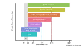 Transaminasi (IU/L)
100 10005005030 10000
Eziologiadellamalattiaepatica
LSN
Cirrosi
Epatite virale cronica/
NAFLD / altro
Epatite alcoolica
Epatite autoimmune
Epatite tossica (medicamenti, alimentari)
Epatite virale acuta
Epatite ischemica
Von Köckritz, Ther Umsch, 2017
 