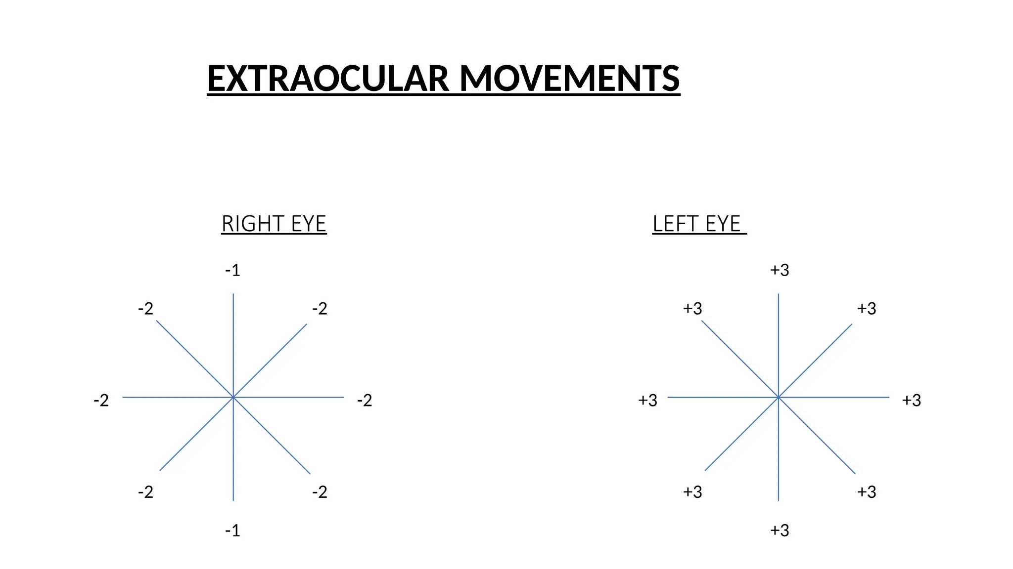 EXTRAOCULAR MOVEMENTS
LEFT EYE
RIGHT EYE
-2
-2
-1
-2
-2
-2
-1
-2 +3
+3
+3
+3
+3
+3
+3
+3
 