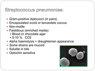 Streptococcus pneumoniae:
 Gram-positive diplococci (in pairs)
 Encapsulated ovoid or lanceolate coccus
 Non-motile
 Fastidious (enriched media)
 Blood or chocolate agar
 5-10 % CO2
 Alpha haemolysis + draughtsman appearance
 Some strains are mucoid
 Soluble in bile
 Optochin sensitive
 