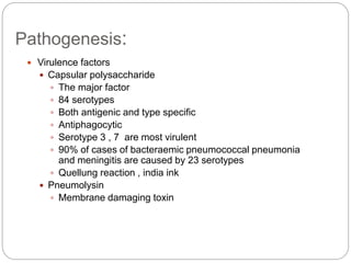 Pathogenesis:
 Virulence factors
 Capsular polysaccharide
 The major factor
 84 serotypes
 Both antigenic and type specific
 Antiphagocytic
 Serotype 3 , 7 are most virulent
 90% of cases of bacteraemic pneumococcal pneumonia
and meningitis are caused by 23 serotypes
 Quellung reaction , india ink
 Pneumolysin
 Membrane damaging toxin
 