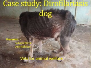 Case study: Dirofilariasis
dog
Vets for animal welfare
Presentor :-
subash Rimal
Anil Adhikari
1
 