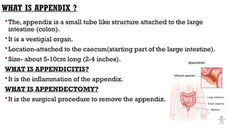 WHAT IS APPENDIX ?
The, appendix is a small tube like structure attached to the large
intestine (colon).
It is a vestigial organ.
Location-attached to the caecum(starting part of the large intestine).
Size- about 5-10cm long (2-4 inches).
WHAT IS APPENDICITIS?
It is the inflammation of the appendix.
WHAT IS APPENDECTOMY?
It is the surgical procedure to remove the appendix.
 