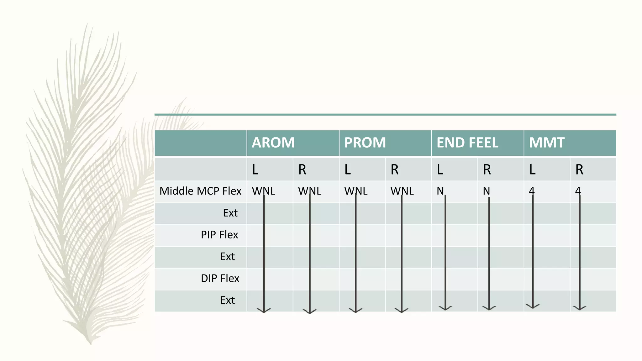 AROM PROM END FEEL MMT
L R L R L R L R
Middle MCP Flex WNL WNL WNL WNL N N 4 4
Ext
PIP Flex
Ext
DIP Flex
Ext
 