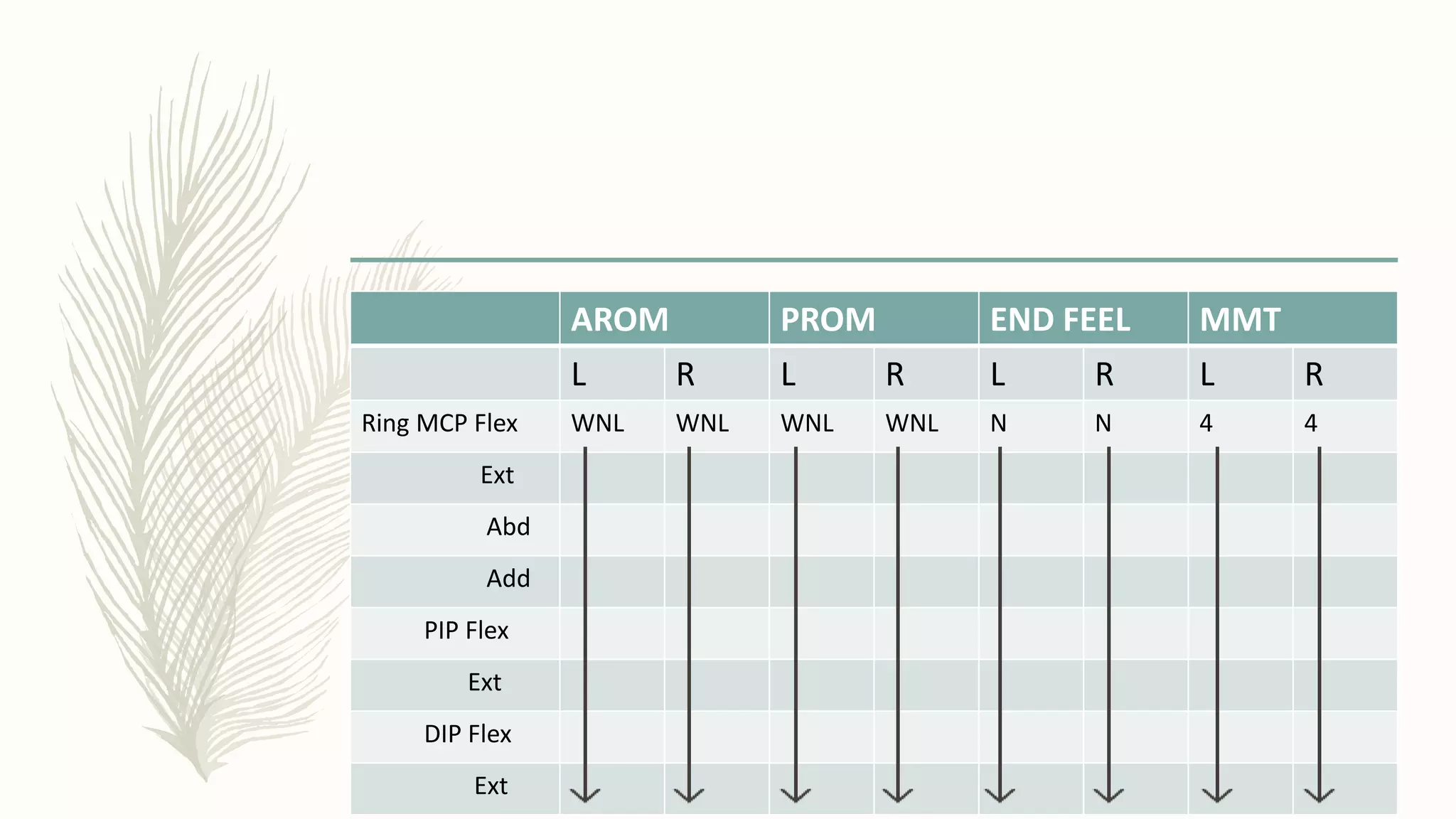 AROM PROM END FEEL MMT
L R L R L R L R
Ring MCP Flex WNL WNL WNL WNL N N 4 4
Ext
Abd
Add
PIP Flex
Ext
DIP Flex
Ext
 