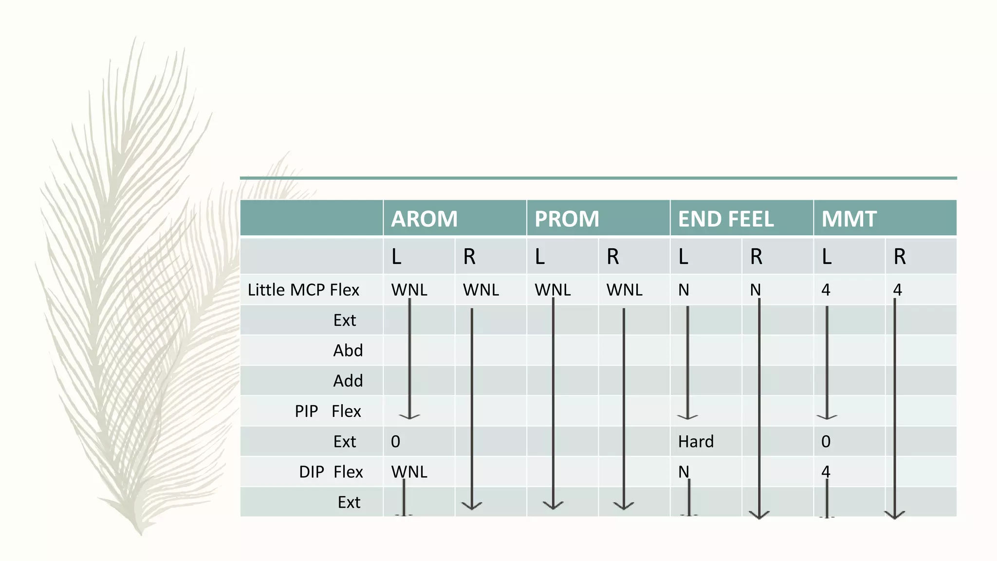 AROM PROM END FEEL MMT
L R L R L R L R
Little MCP Flex WNL WNL WNL WNL N N 4 4
Ext
Abd
Add
PIP Flex
Ext 0 Hard 0
DIP Flex WNL N 4
Ext
 