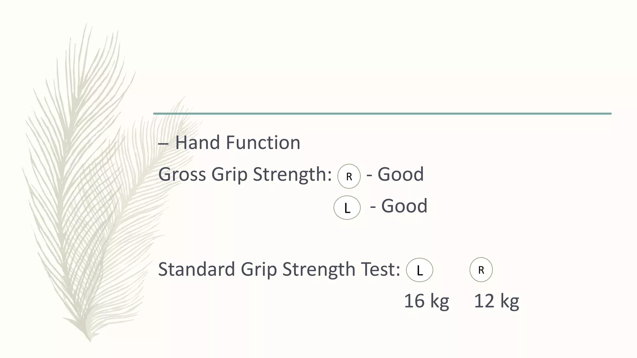 – Hand Function
Gross Grip Strength: - Good
- Good
Standard Grip Strength Test:
16 kg 12 kg
R
L
L R
 