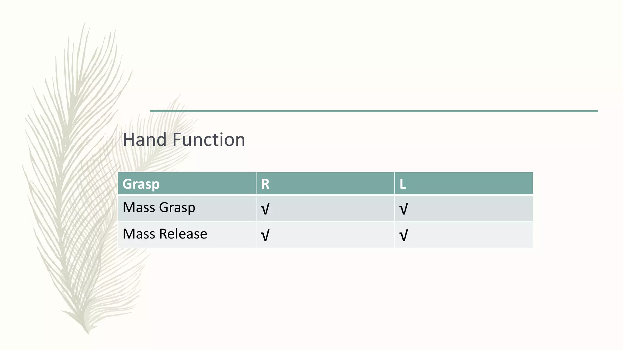 Hand Function
Grasp R L
Mass Grasp √ √
Mass Release √ √
 