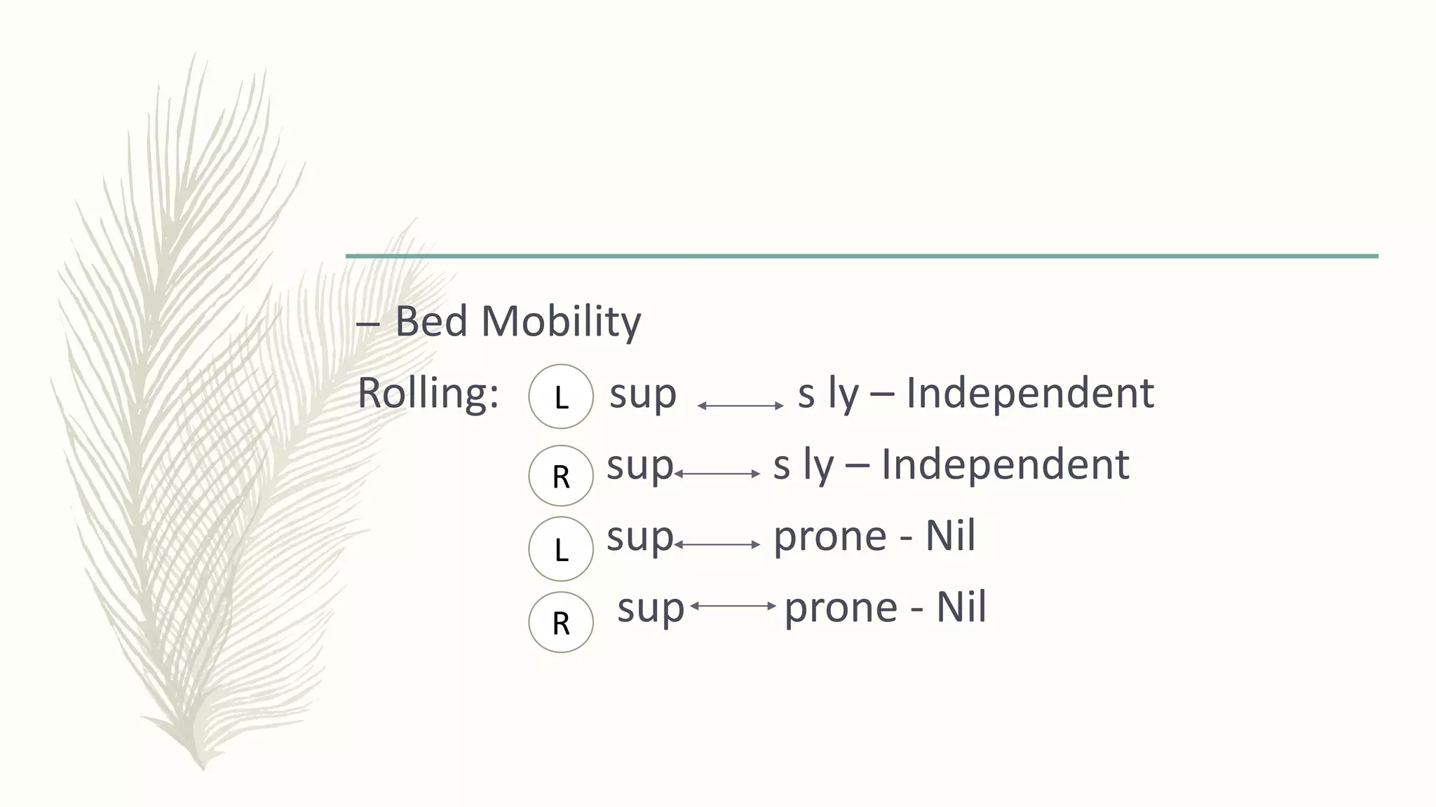 – Bed Mobility
Rolling: sup s ly – Independent
sup s ly – Independent
sup prone - Nil
sup prone - Nil
L
R
L
R
 