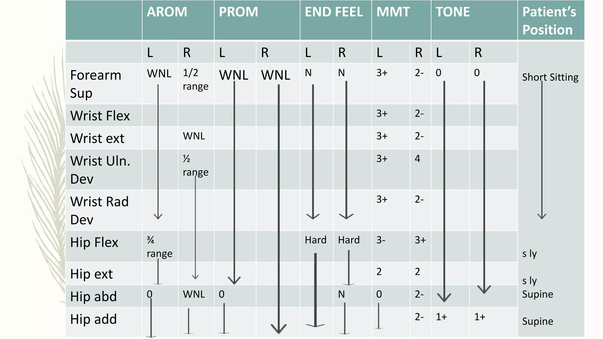 AROM PROM END FEEL MMT TONE Patient’s
Position
L R L R L R L R L R
Short Sitting
s ly
s ly
Supine
Supine
Forearm
Sup
WNL 1/2
range
WNL WNL N N 3+ 2- 0 0
Wrist Flex 3+ 2-
Wrist ext WNL 3+ 2-
Wrist Uln.
Dev
½
range
3+ 4
Wrist Rad
Dev
3+ 2-
Hip Flex ¾
range
Hard Hard 3- 3+
Hip ext 2 2
Hip abd 0 WNL 0 N 0 2-
Hip add 2- 1+ 1+
 
