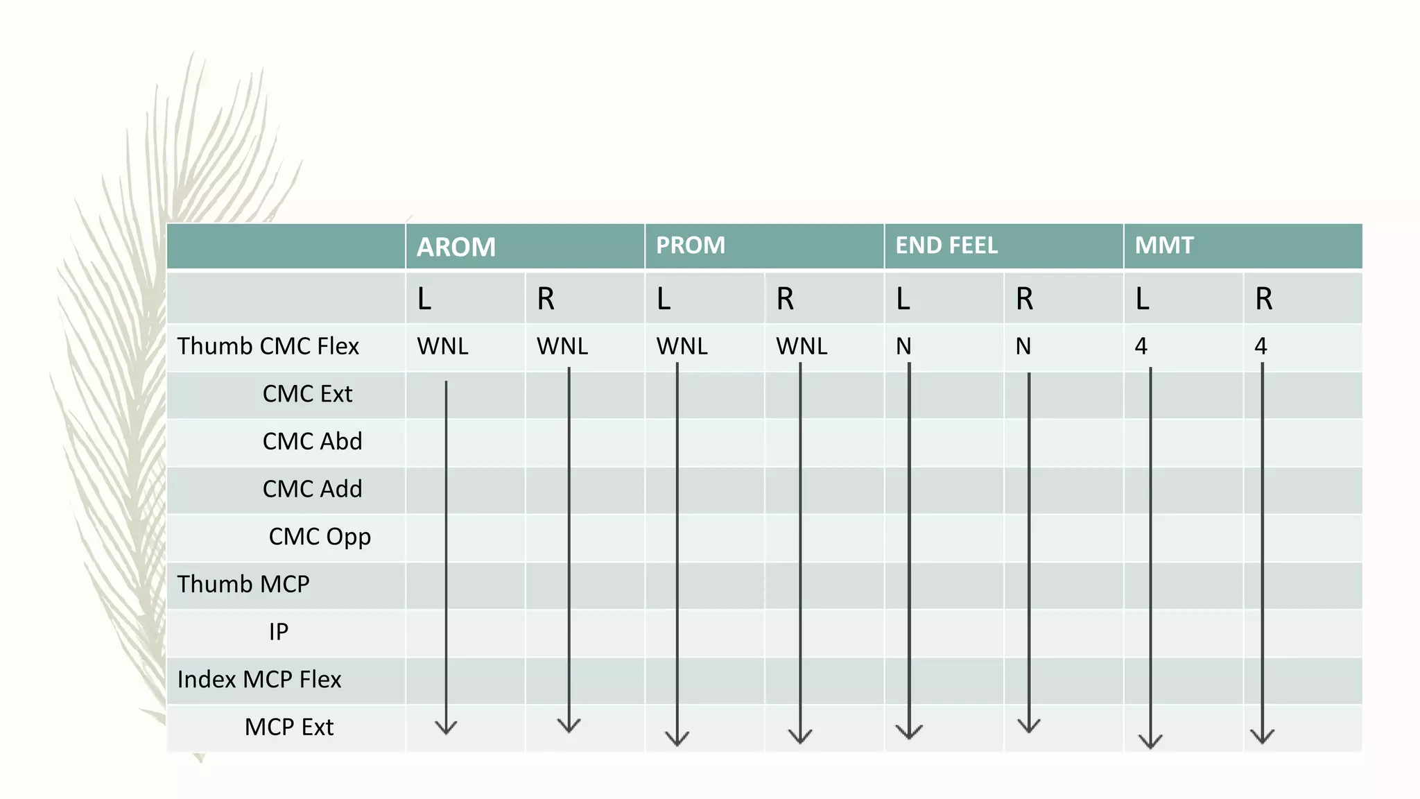 AROM PROM END FEEL MMT
L R L R L R L R
Thumb CMC Flex WNL WNL WNL WNL N N 4 4
CMC Ext
CMC Abd
CMC Add
CMC Opp
Thumb MCP
IP
Index MCP Flex
MCP Ext
 