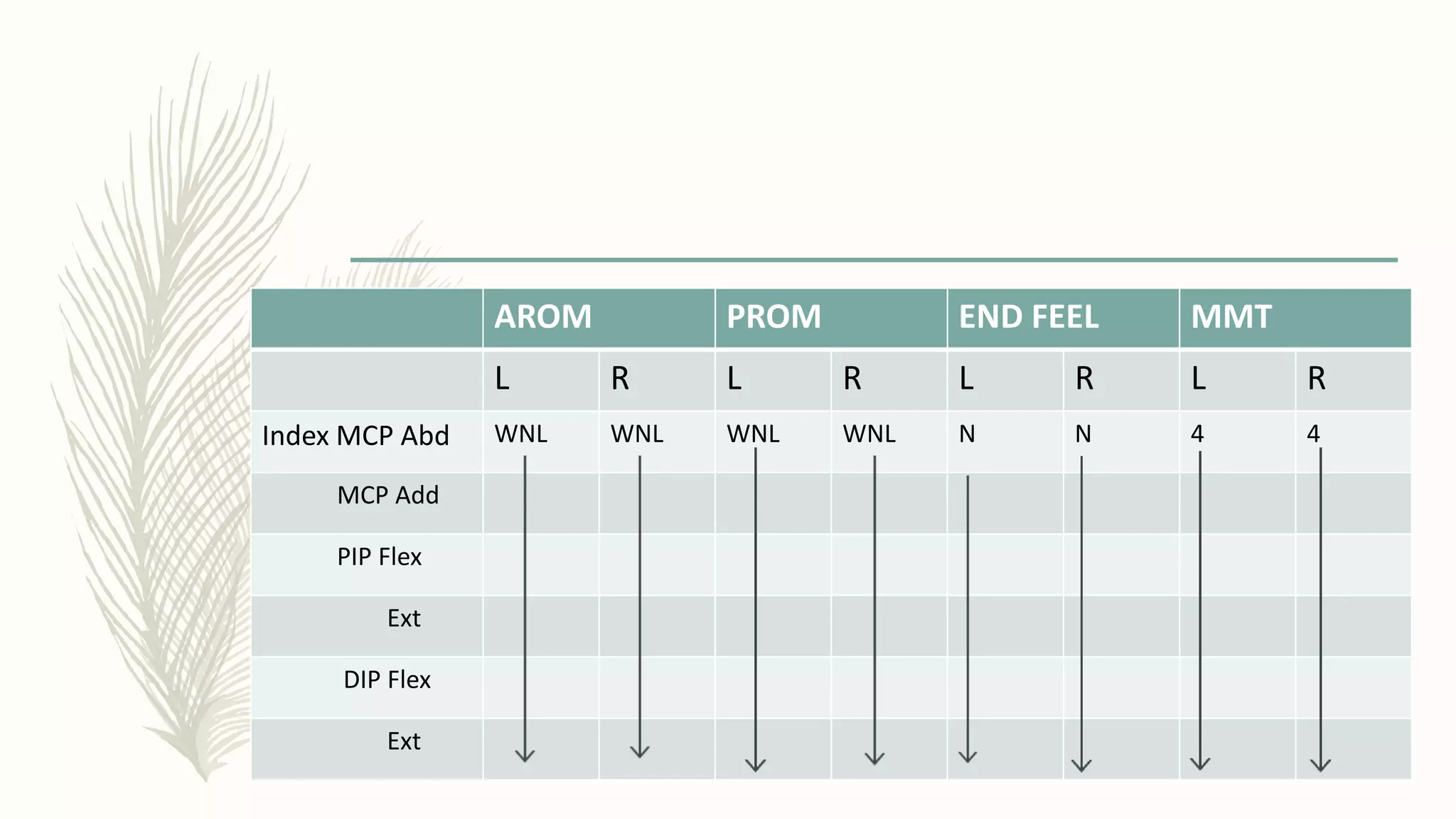 AROM PROM END FEEL MMT
L R L R L R L R
Index MCP Abd WNL WNL WNL WNL N N 4 4
MCP Add
PIP Flex
Ext
DIP Flex
Ext
 