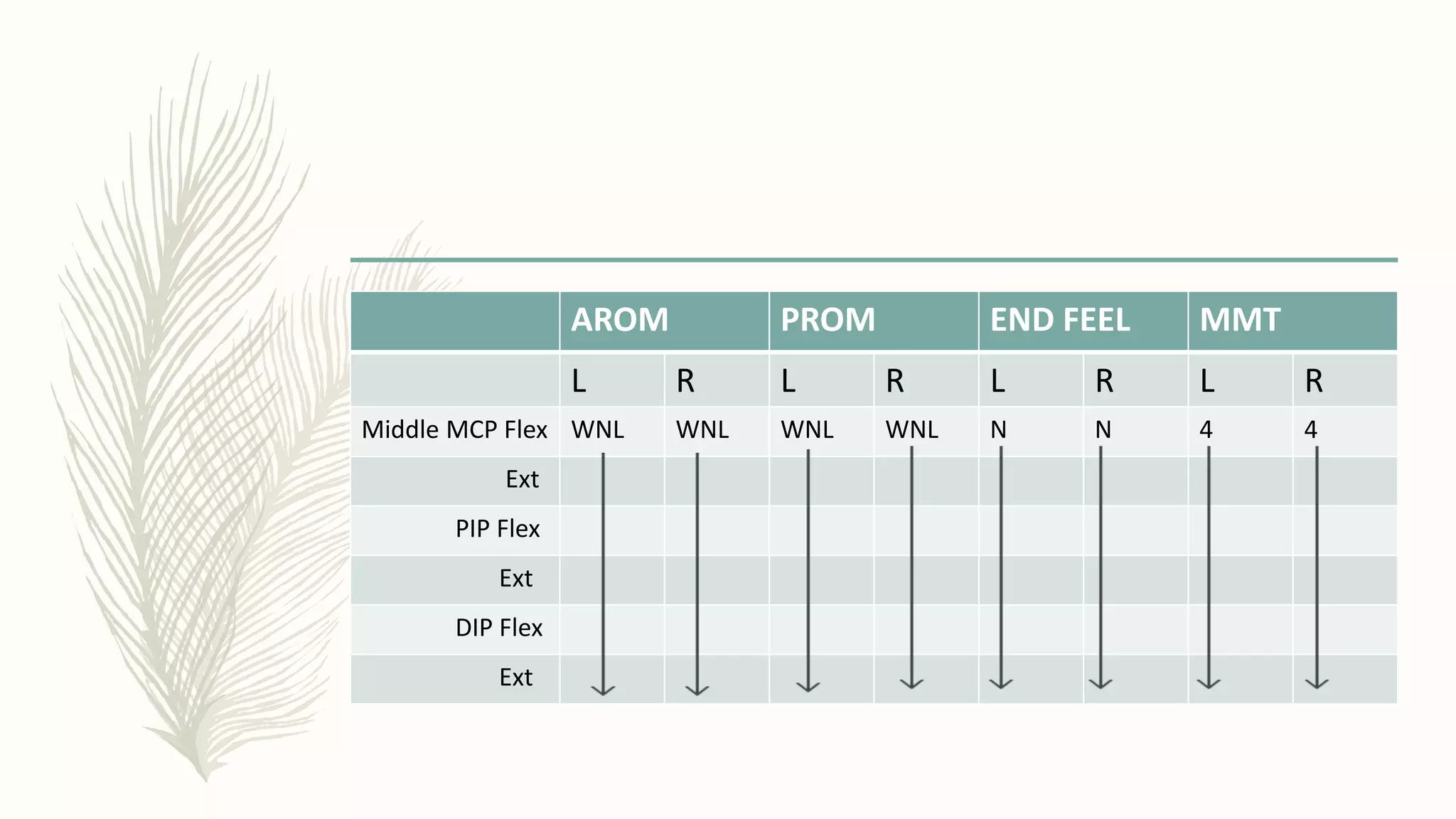 AROM PROM END FEEL MMT
L R L R L R L R
Middle MCP Flex WNL WNL WNL WNL N N 4 4
Ext
PIP Flex
Ext
DIP Flex
Ext
 
