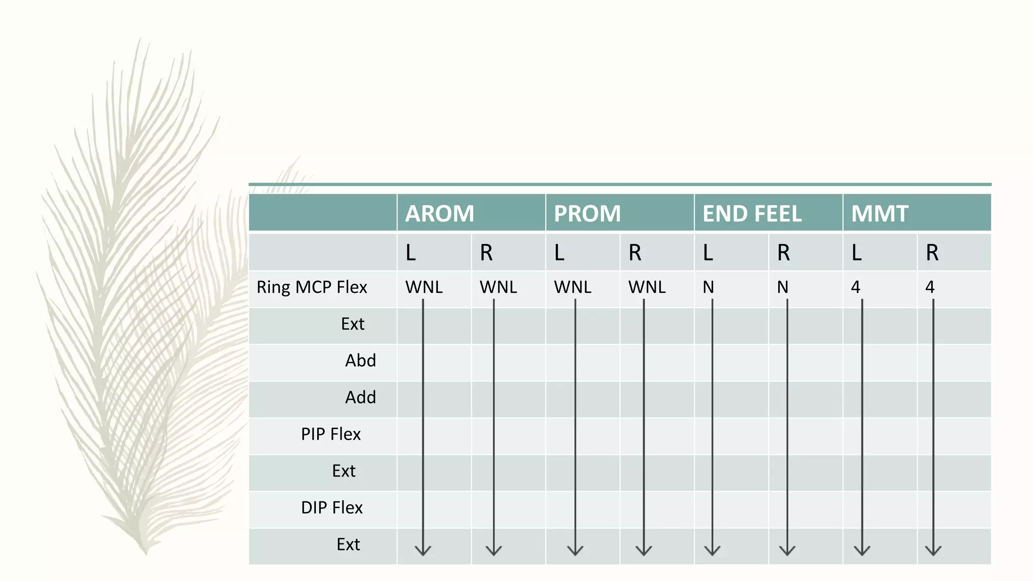 AROM PROM END FEEL MMT
L R L R L R L R
Ring MCP Flex WNL WNL WNL WNL N N 4 4
Ext
Abd
Add
PIP Flex
Ext
DIP Flex
Ext
 