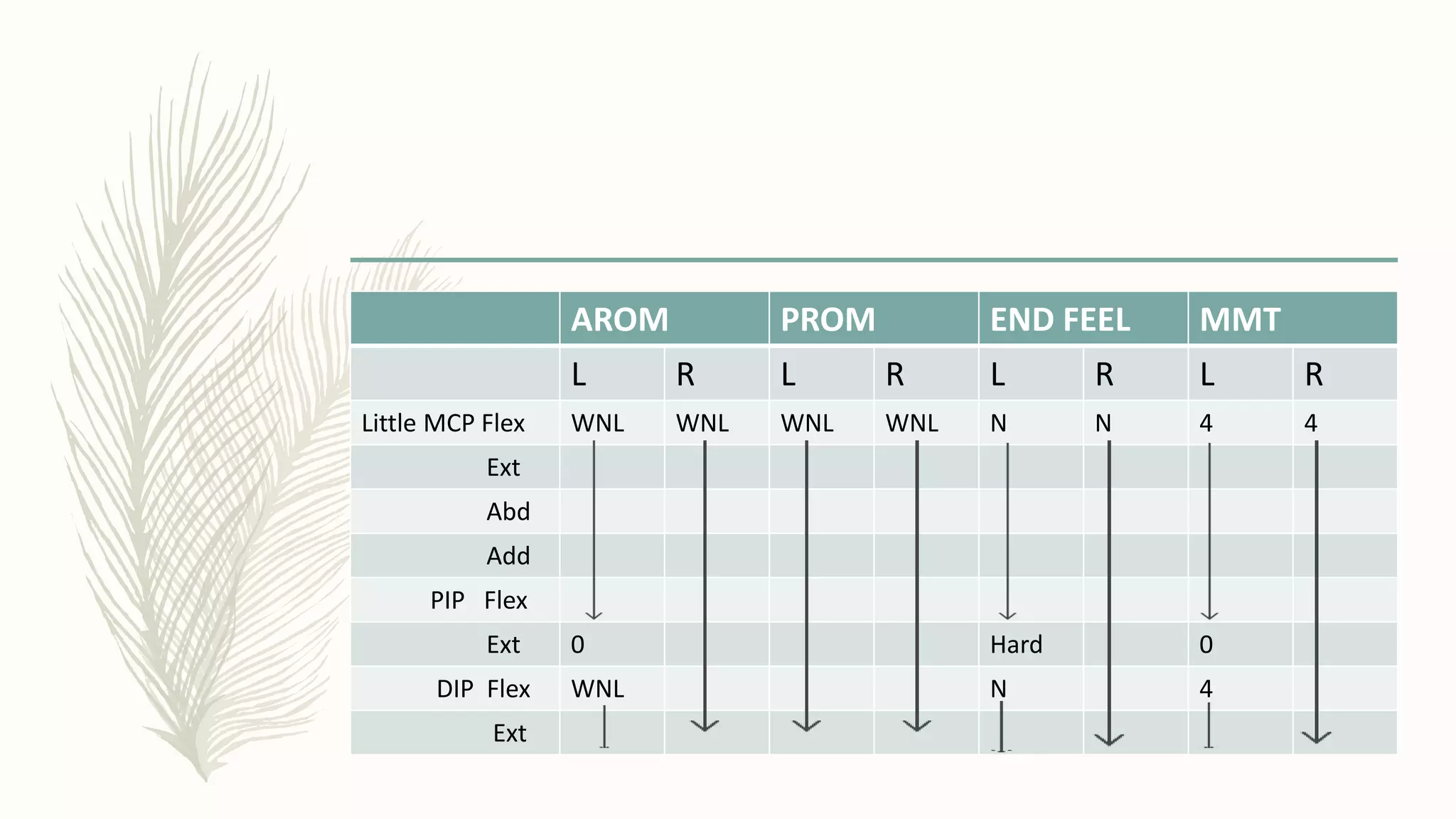 AROM PROM END FEEL MMT
L R L R L R L R
Little MCP Flex WNL WNL WNL WNL N N 4 4
Ext
Abd
Add
PIP Flex
Ext 0 Hard 0
DIP Flex WNL N 4
Ext
 