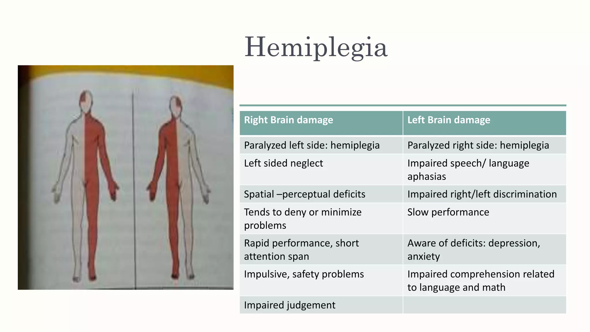 Hemiplegia
Right Brain damage Left Brain damage
Paralyzed left side: hemiplegia Paralyzed right side: hemiplegia
Left sided neglect Impaired speech/ language
aphasias
Spatial –perceptual deficits Impaired right/left discrimination
Tends to deny or minimize
problems
Slow performance
Rapid performance, short
attention span
Aware of deficits: depression,
anxiety
Impulsive, safety problems Impaired comprehension related
to language and math
Impaired judgement
 
