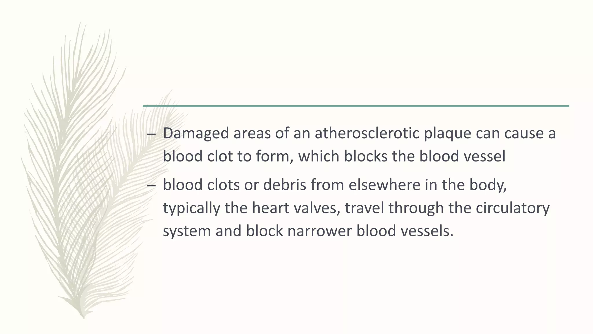 – Damaged areas of an atherosclerotic plaque can cause a
blood clot to form, which blocks the blood vessel
– blood clots or debris from elsewhere in the body,
typically the heart valves, travel through the circulatory
system and block narrower blood vessels.
 