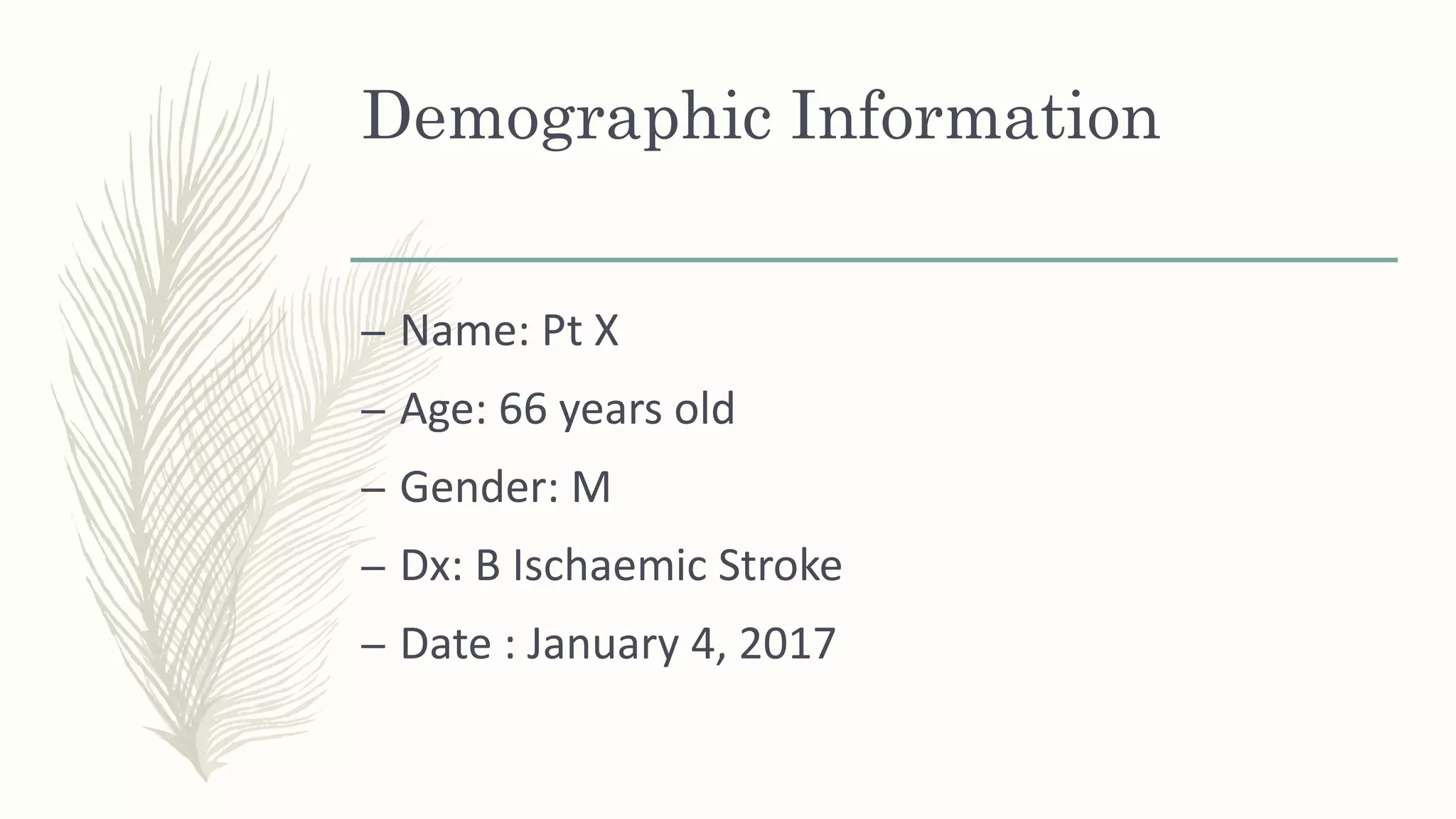 Demographic Information
– Name: Pt X
– Age: 66 years old
– Gender: M
– Dx: B Ischaemic Stroke
– Date : January 4, 2017
 