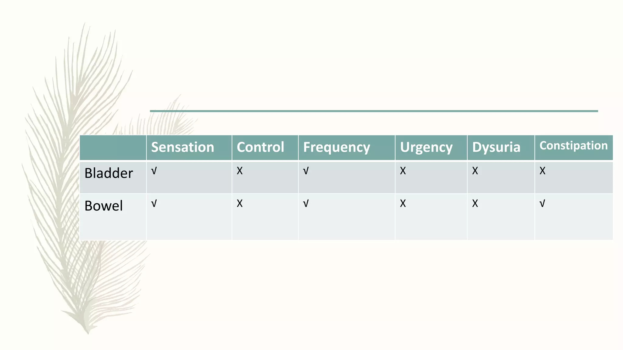 Sensation Control Frequency Urgency Dysuria Constipation
Bladder √ X √ X X X
Bowel √ X √ X X √
 