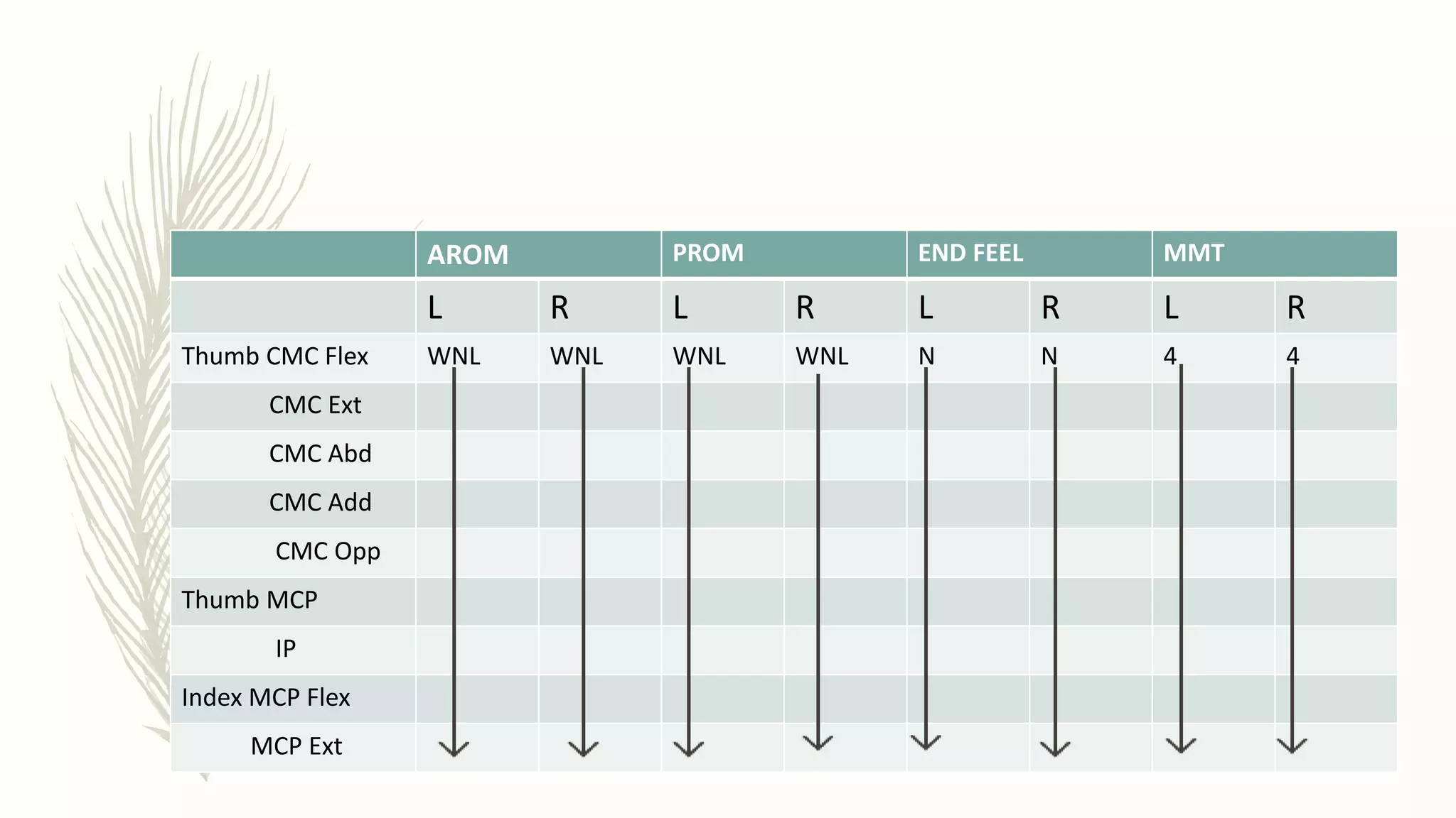 AROM PROM END FEEL MMT
L R L R L R L R
Thumb CMC Flex WNL WNL WNL WNL N N 4 4
CMC Ext
CMC Abd
CMC Add
CMC Opp
Thumb MCP
IP
Index MCP Flex
MCP Ext
 