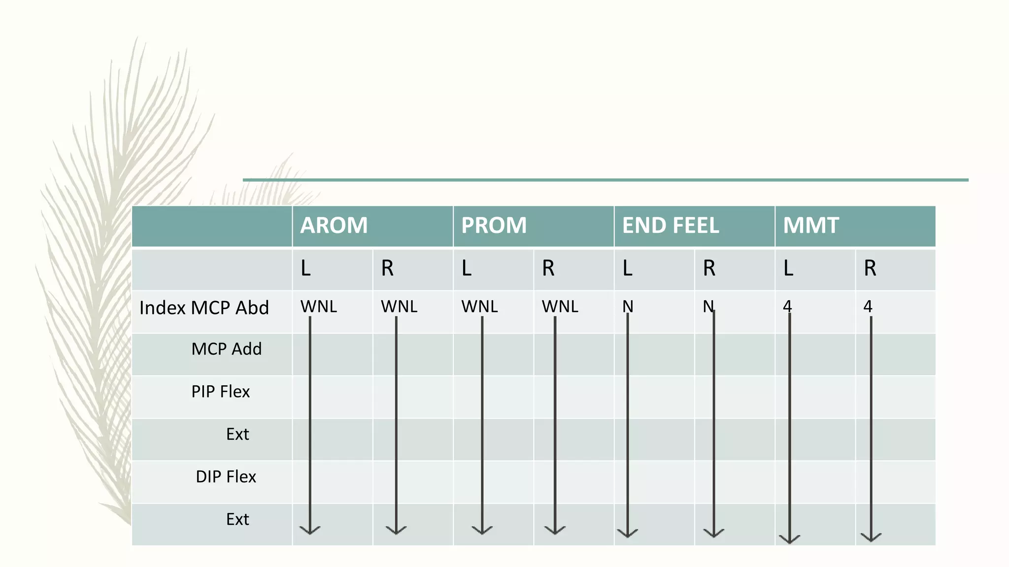 AROM PROM END FEEL MMT
L R L R L R L R
Index MCP Abd WNL WNL WNL WNL N N 4 4
MCP Add
PIP Flex
Ext
DIP Flex
Ext
 