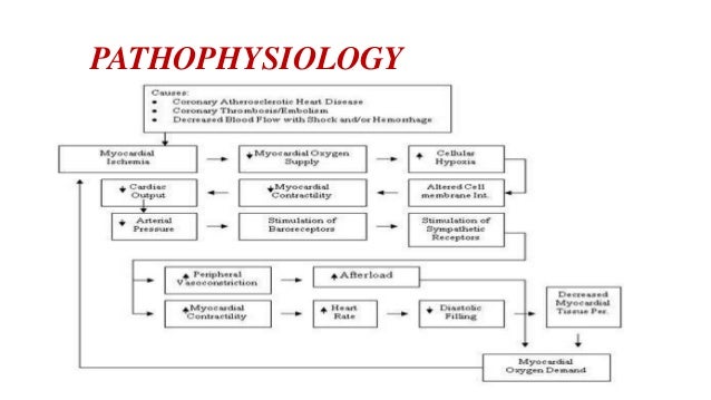 Case presentation on MYOCARDIAL INFARCTION