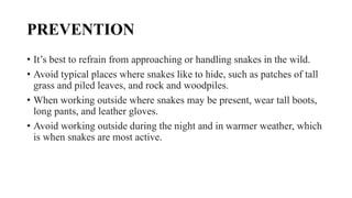 PREVENTION
• It’s best to refrain from approaching or handling snakes in the wild.
• Avoid typical places where snakes like to hide, such as patches of tall
grass and piled leaves, and rock and woodpiles.
• When working outside where snakes may be present, wear tall boots,
long pants, and leather gloves.
• Avoid working outside during the night and in warmer weather, which
is when snakes are most active.
 