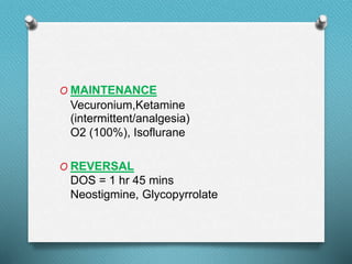 O MAINTENANCE
Vecuronium,Ketamine
(intermittent/analgesia)
O2 (100%), Isoflurane
O REVERSAL
DOS = 1 hr 45 mins
Neostigmine, Glycopyrrolate
 